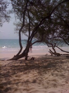 Lost on the beach